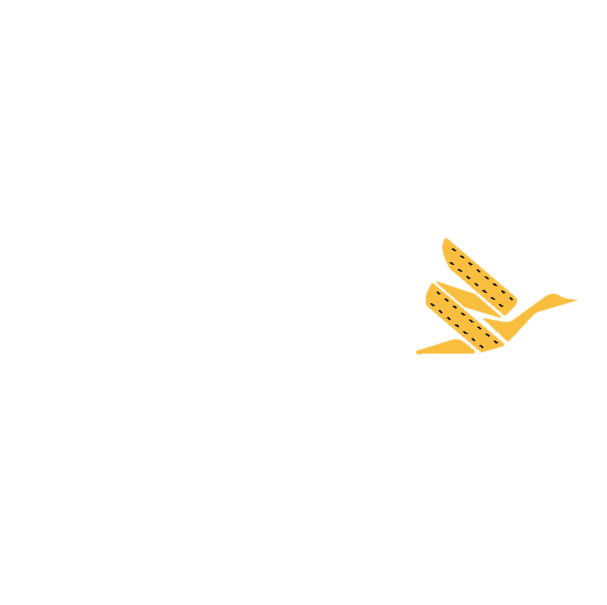 Northern Goose